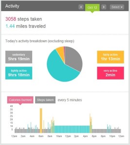 FitBit Dashboard
